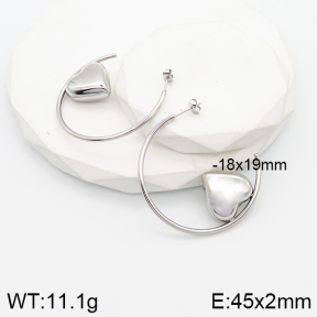 5E2003558vhnv-669  Stainless Steel Earrings