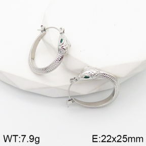 5E3001533vhml-669  Stainless Steel Earrings