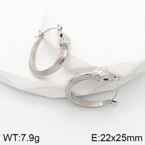 5E3001534vhml-669  Stainless Steel Earrings