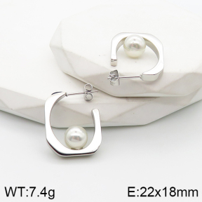 5E3001536vhha-669  Stainless Steel Earrings