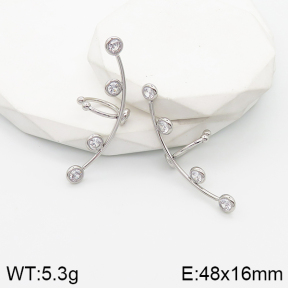 5E4002786vhmv-669  Stainless Steel Earrings