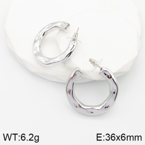 5E2003525aako-733  Stainless Steel Earrings