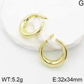 5E2003526aako-733  Stainless Steel Earrings
