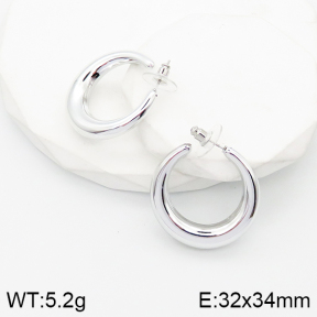 5E2003527aako-733  Stainless Steel Earrings