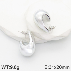 5E2003533aakl-733  Stainless Steel Earrings