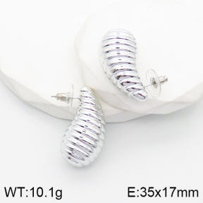 5E2003535ablb-733  Stainless Steel Earrings