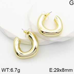 5E2003537aakl-733  Stainless Steel Earrings