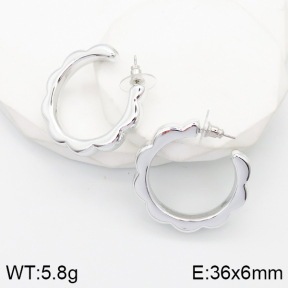 5E2003538aakl-733  Stainless Steel Earrings