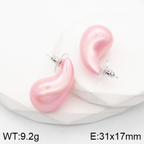 5E2003545aako-733  Stainless Steel Earrings