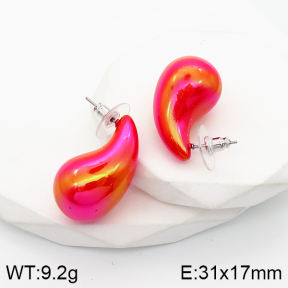 5E2003548aako-733  Stainless Steel Earrings