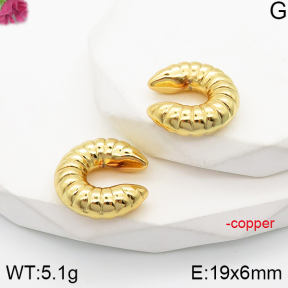 F5E201329vbnl-J163  Fashion Copper Earrings