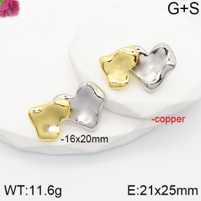 F5E201370vbpb-J40  Fashion Copper Earrings