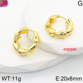 F5E201375ablb-J40  Fashion Copper Earrings