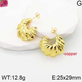 F5E201406vbnb-J40  Fashion Copper Earrings