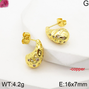 F5E401601vbll-J163  Fashion Copper Earrings