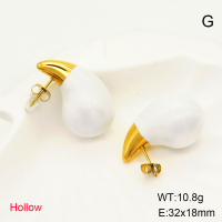 GEE001379vhkb-066  Stainless Steel Earrings  Enamel,Handmade Polished