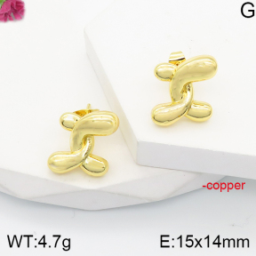 PE1755067bbml-J165  Chanel  Fashion Copper Earrings