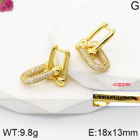 PE1755178ajvb-J139  Tiffany & Co  Fashion Copper Earrings