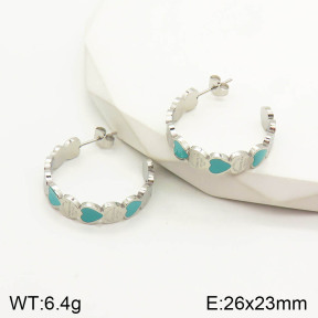 PE1756282vbpb-434  Tiffany & Co  Earrings