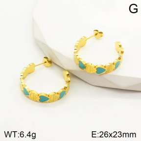 PE1756283bvpl-434  Tiffany & Co  Earrings