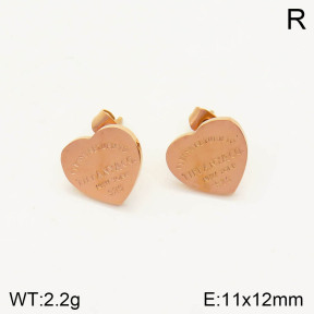 PE1756288aakl-434  Tiffany & Co  Earrings