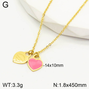 PN1756295bbml-434  Tiffany & Co  Necklaces