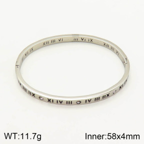 2BA401278vbnb-377  Stainless Steel Bangle