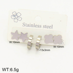 2E2003000aajl-434  Stainless Steel Earrings