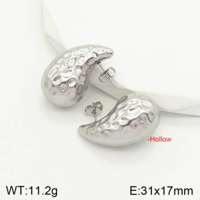 2E2003011vbnl-742  Stainless Steel Earrings