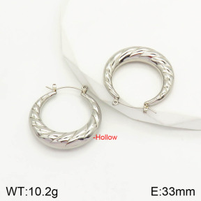 2E2003013vbnl-742  Stainless Steel Earrings