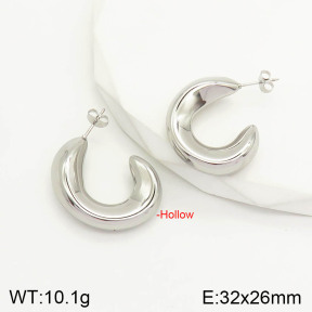 2E2003014vbnl-742  Stainless Steel Earrings