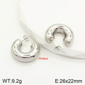2E2003021vbnl-742  Stainless Steel Earrings