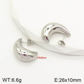 2E2003022vbnl-742  Stainless Steel Earrings