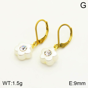 2E3001847vail-420  Stainless Steel Earrings
