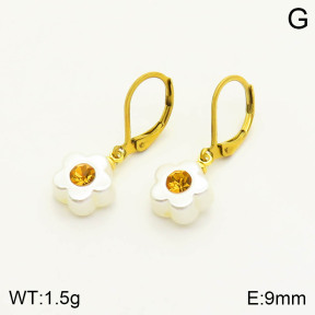 2E3001849vail-420  Stainless Steel Earrings
