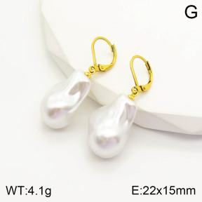 2E3001890vail-420  Stainless Steel Earrings