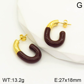 2E3001905vbnb-434  Stainless Steel Earrings