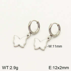 2E3001918aajl-434  Stainless Steel Earrings