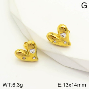 2E4002962vbmb-434  Stainless Steel Earrings