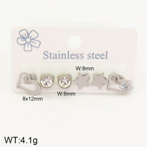 2E4002968avja-434  Stainless Steel Earrings