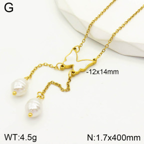 2N3001449bbml-434  Stainless Steel Necklace