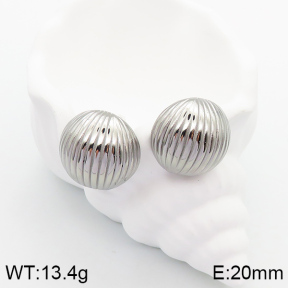 5E2003364vbpb-066  Stainless Steel Earrings  Handmade Polished