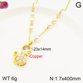 F2N300098bhva-J39  Fashion Copper Necklace