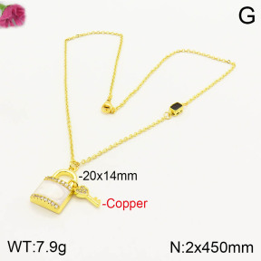 F2N400771bhia-J39  Fashion Copper Necklace