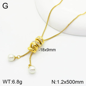 2N3001455bbov-749  Stainless Steel Necklace