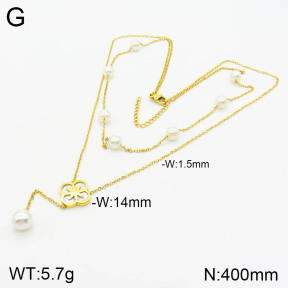 2N3001460vbpb-749  Stainless Steel Necklace