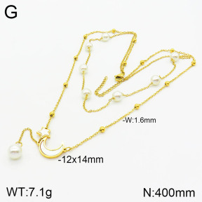2N3001461vbpb-749  Stainless Steel Necklace