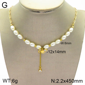 2N3001463bbov-749  Stainless Steel Necklace