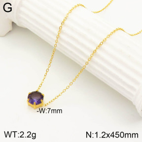 2N4002558vbnl-355  Stainless Steel Necklace