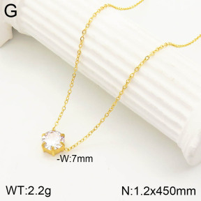 2N4002560vbnl-355  Stainless Steel Necklace